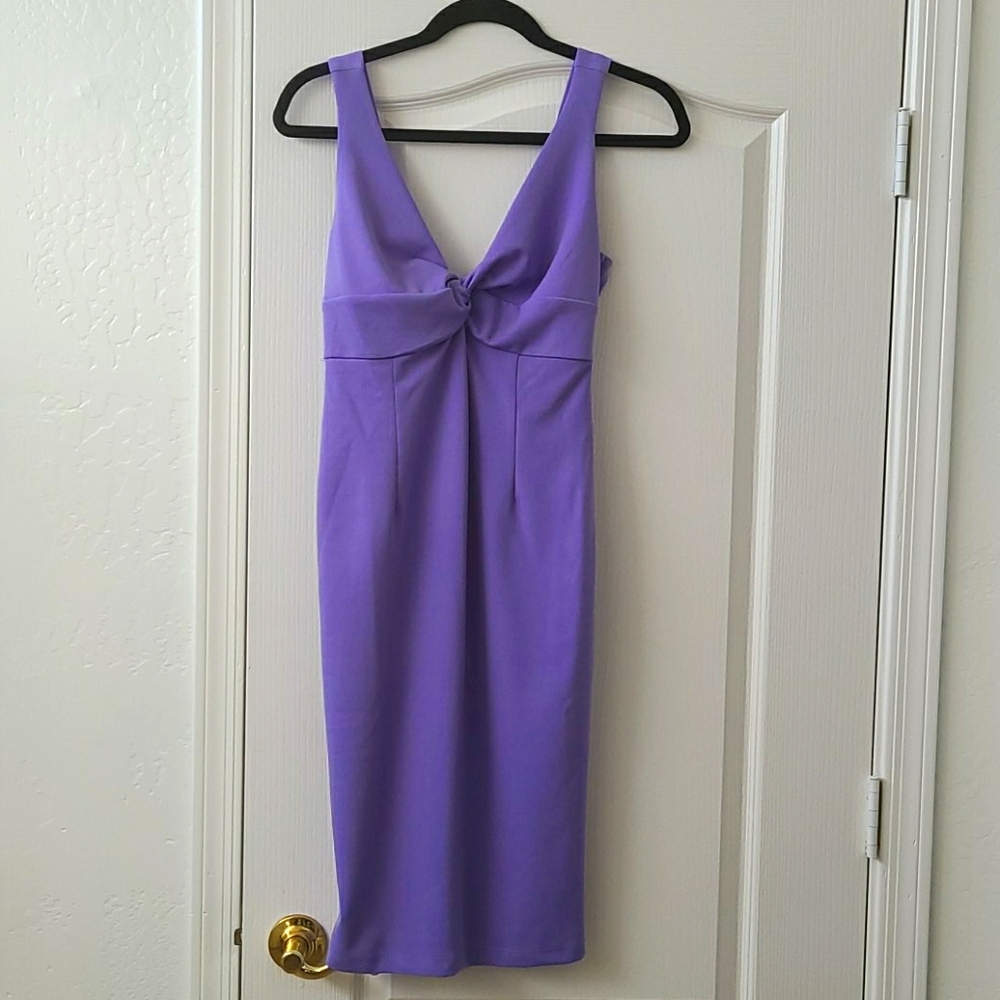 Violet V-Neck Dress
